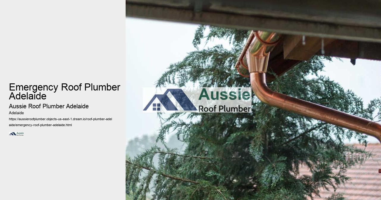 Emergency Roof Plumber Adelaide