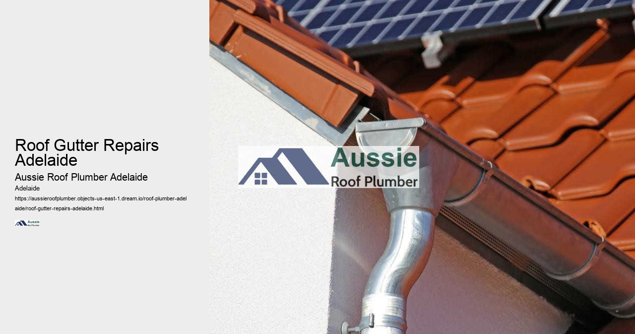 Roof Gutter Repairs Adelaide