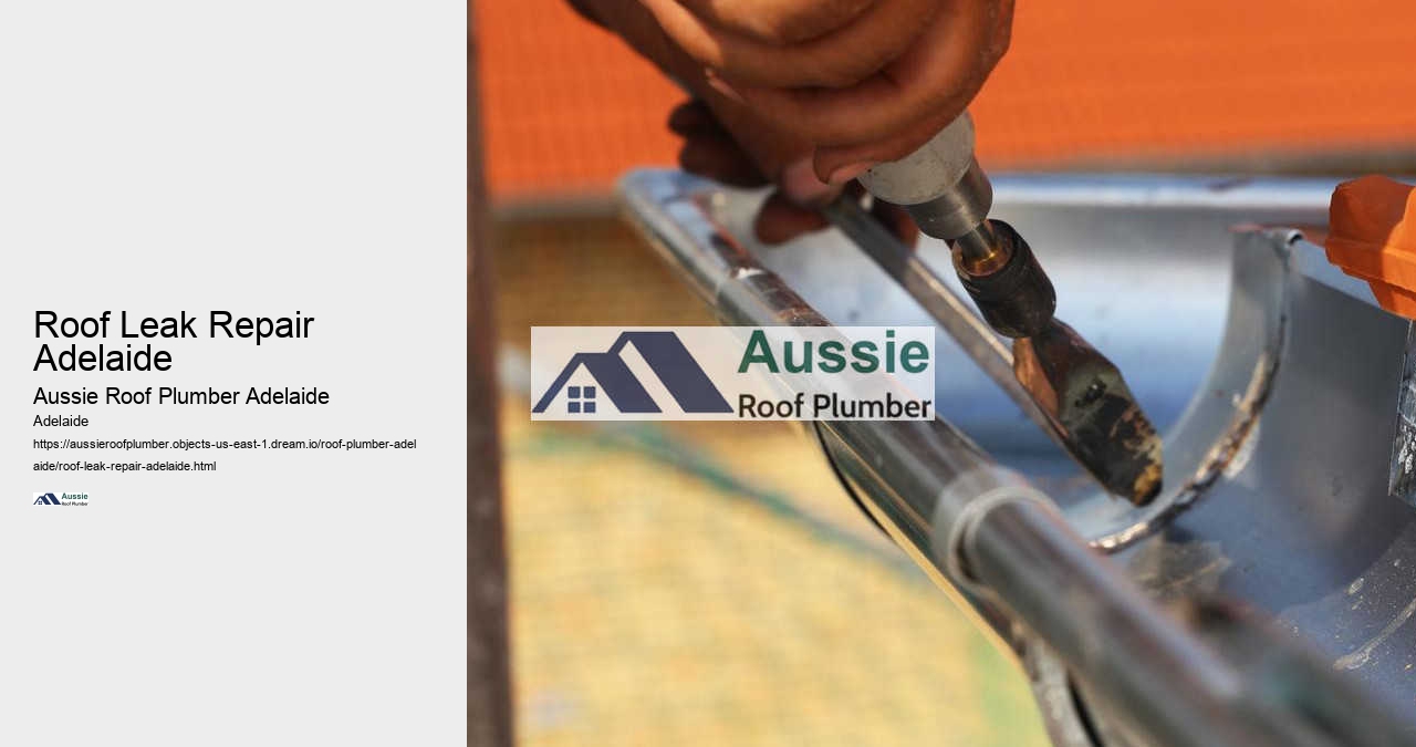 Roof Leak Repair Adelaide